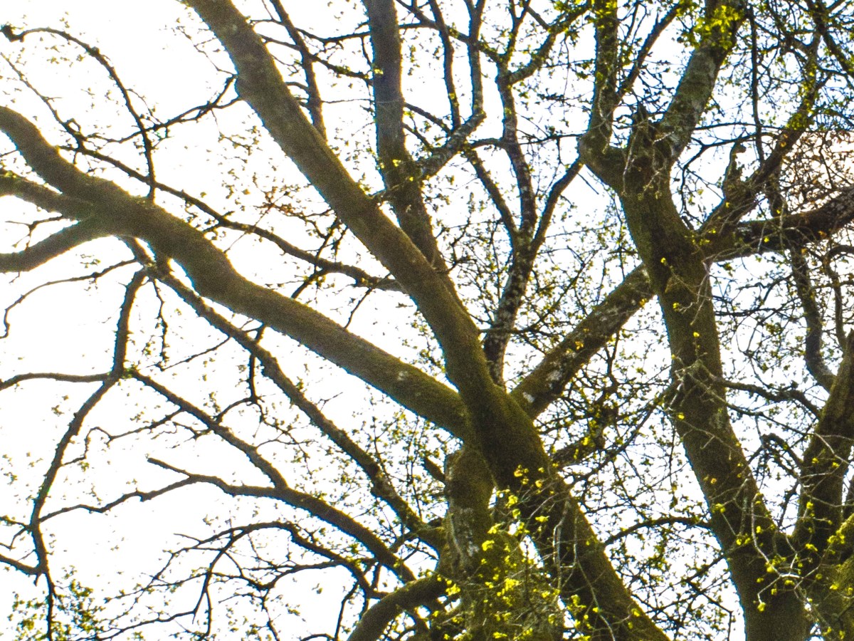 as above, so&nbsp;below