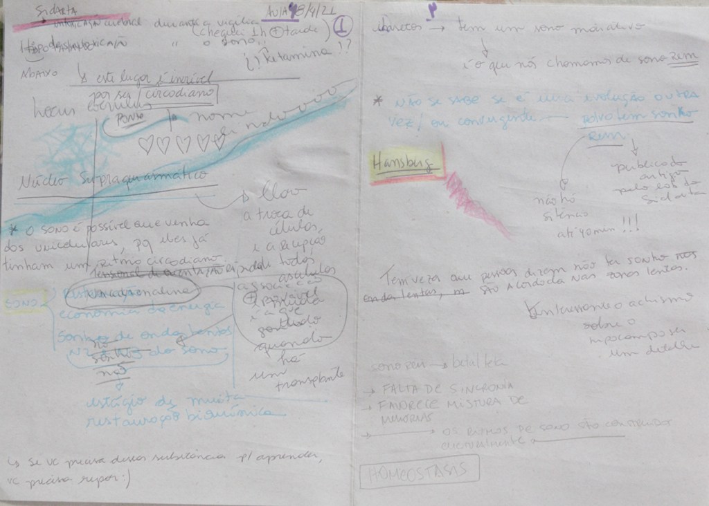 Esta imagem possuí um atributo alt vazio; O nome do arquivo é aula4.jpg